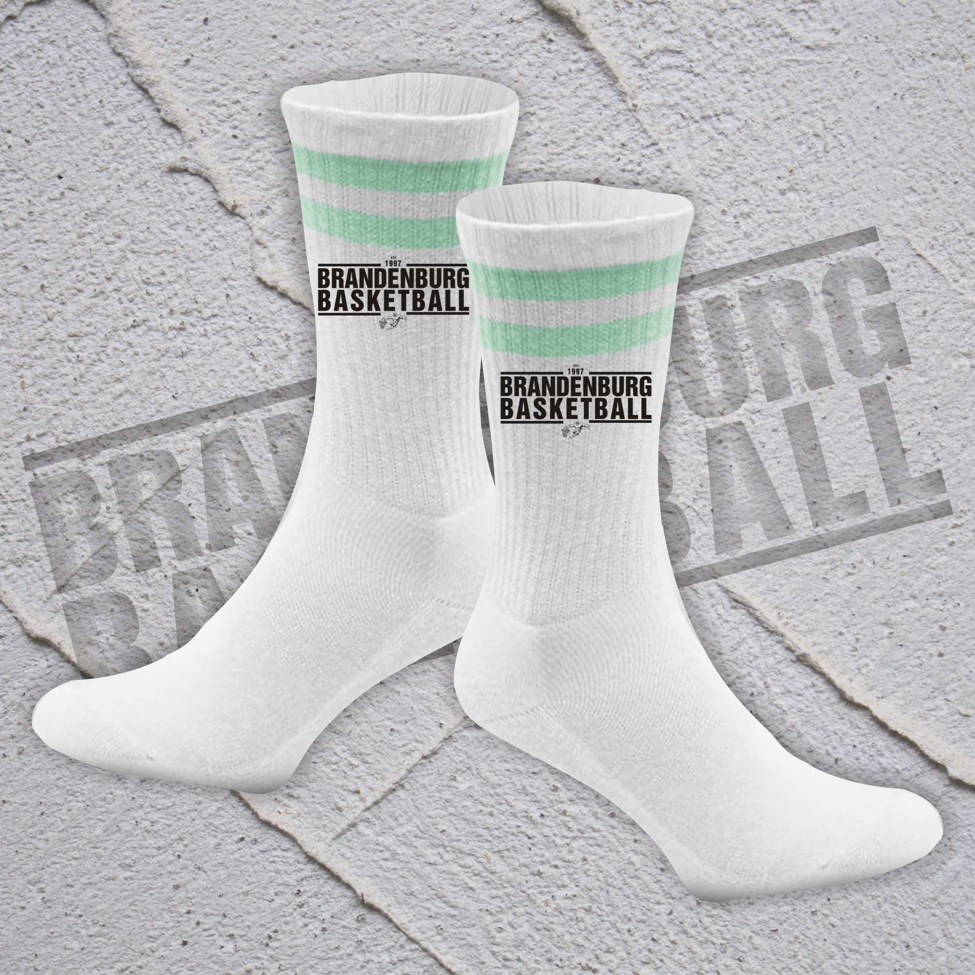 MrSocks Basket Brandenburg classics • div. Motive – Bild 19